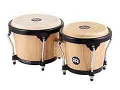 bongo